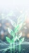 © AdPremium - Futuristic digital green plants growing from a wireframe grid, representing sustainable technology and green energy innovation