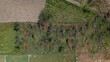 © AmazingAerialAgency - Aerial view of fallen trees scattered across a green field following a heavy storm, with visible damage to the forest edge and adjacent agricultural land in Portugal.
