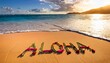 © Abigail - aloha in sand hawaii usa