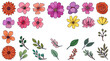 © AnaiChan - Eine vielfältige Sammlung handgezeichneter Blumen und Blätter im Aquarell-Stil, isoliert auf weißem Hintergrund für kreative Designprojekte und florale Illustrationen.