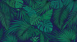 © Dizzi - Fondo de patrón botánico con hojas de monstera y palmeras tropicales en tonos verdes vibrantes sobre un fondo oscuro para diseño decorativo elegante y moderno