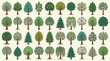 © LeNo - Set di icone vettoriali piatte raffiguranti varie specie di alberi stilizzati con diverse forme di chioma e fogliame, isolati su uno sfondo color crema chiaro per design naturalistico.