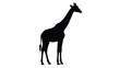© MDShawon - Giraffe Silhouette Against A White Background Silhouette