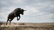 © Fitur - Powerful black bull jumping in a dusty landscape