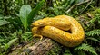 © Rara - snake in the grass