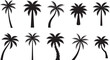 © Amir Hmza - Black silhouettes of various palm trees on white background for design and decoration purposes easily customizable for any project need
