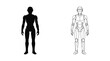 © Muniba - Futuristic humanoid robot silhouette and line art vector, mechanical android character set, robotic man body blueprint for sci-fi gaming and tech