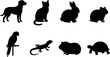 © ROUNOK - Pet silhouettes of dogs, cats, rabbits, birds, reptiles, and small mammals