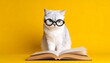 © Moon - Cat with glasses reading book on bright yellow background