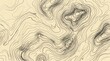 © hani - Dynamic abstract topographic pattern with flowing contour lines, illustrating complex data visualization or an elegant conceptual landscape