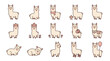 © Kesya - Collection of various hand drawn llama and alpaca icons.