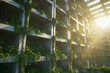© Taketo Miyajima - 太陽光が差し込む植物と水が滴る近代的な格子状遺構 / Modern Lattice Ruins with Sunlight and Dripping Water and Plants