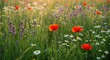 © Outhay - Vibrant wildflowers and lush green grass glow under a soft golden light, capturing the essence of perpetual renewal and inner tranquility, renewal, glow, green