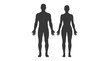 © Dedas - Male and female human body silhouettes standing side by side