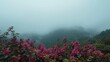 © NeuralNiche - Fog enveloped mountains featuring vibrant azalea blooms and lush floral growth
