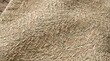 © Iyan - Close-up macro texture of a natural fiber woven rug or carpet, beige and brown tones.