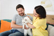 © New Africa - Couple with their cute cat on sofa at home