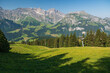 © Andrei Tomas - Sunlit wildflower meadow and conifer forest with rugged Swiss Alps under clear blue sky on the Walenpfad trail in summer.