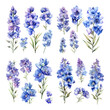 © Woeng Studio - Elegant Set of Blue and Purple Delphinium Watercolor Flowers Isolated on White Background