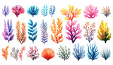 Watercolor ocean coral in various colors, outlined on a black backdrop