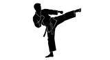 Martial arts professional performing high kick silhouette