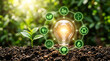 © nilofa - Eco-friendly lightbulb with plant and sustainability