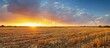 © Anzhelika - Harvest field at golden hour. Autumn stubble landscape under dramatic cloudy sunset sky. Rural farm scenery for banner background, thanksgiving holiday atmosphere and seasonal nature concept.