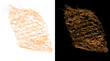 © Salim - Microscopic bone tissue structure, porous trabecular bone anatomy, biological skeletal matrix on white and black backgrounds for medical research
