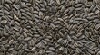 © suara - Sunflower seeds close-up full frame texture background, healthy organic snack food with striped shells for a natural pattern