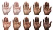 © PixelPulse Creative - Set of human hands with different skin tones isolated on white background