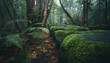 © Irgi - Moss Covered Pathway in Forest Scene for Nature Background