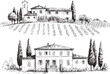 © Mohammad - クラシックなスタイルの糸杉の木とブドウ園に囲まれたイタリアのヴィラの手書きイラスト