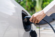 © BJ Day Stock - Close-up of an Asian woman's hand holding a charger plug connected to an electric car port. Concept of EV charging station alternative clean energy and sustainability.