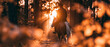 © Olga Ко - Silhouette of an equestrian riding a horse along a forest trail at sunset. Golden hour sunlight, sunbeams through trees, and blurred foreground foliage