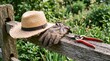 © DR Moura - Gardening tools including a straw hat leather gloves and pruning shears resting on a rustic wooden fence