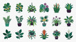 © Dodi - Creative Collection of 20 Vibrant Potted Plants and Flower Illustrations in Green Purple and Yellow Tones