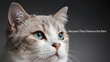 © Julia Zubrytskaya - Portrait of a stunning blue eyed cat looking up with text layout for animal day celebration
