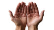 © Laura - Open human hands cupped upwards, palms facing sky