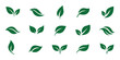 © HIKE  Studio  1 - Leaf sprout icon vector set, green leaves plant eco logo symbol simple graphic illustration set, vegan fresh herb pictogram shape sign, organic natural healthy logotype eps 10