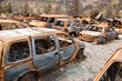 © Stuart McCall - Canada, BC, Lytton, Jade Springs.  Burned remains of an old automobile scrapyard after wildfire swept through the area.