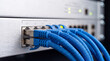 © AVA - Server rack with blue ethernet cables connected to a network switch