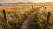 © iyan1 - Narrow dirt track through tall grass field at sunrise.