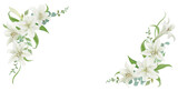 White Lily Flowers Corner Frame with Eucalyptus on Transparent Background - Wedding and Floral Design Element300dpi