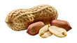 © Lucas - Isolated raw organic peanuts a delicious healthy snack food with whole and shelled kernels