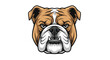 © MD - Bold and colorful illustration of an aggressive bulldog face with sharp details suitable for sports team mascots.