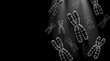© Amzar - illustration of stylized human chromosomes floating with dramatic lighting on black background
