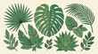 © Cil - Conjunto de ilustrações vetoriais desenhadas à mão com diversas folhas tropicais, incluindo monstera, palmeira e samambaia, isoladas em um fundo bege claro para design botânico.