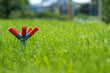 © ZeDesign - Garden sprinkler on green grass with copy space for text. A plastic lawn irrigation sprinkler placed on the left side of the frame on a vibrant green grass field, creating a large empty space