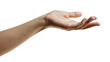 © Alex - Open human hand palm up, reaching forward
