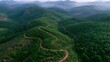 © PirisaTK - Aerial view of winding dirt roads cutting through dense, green forested hills with mountains in the background under a hazy sky.